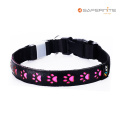 Best Flashing Light Up Leather Dog Collars